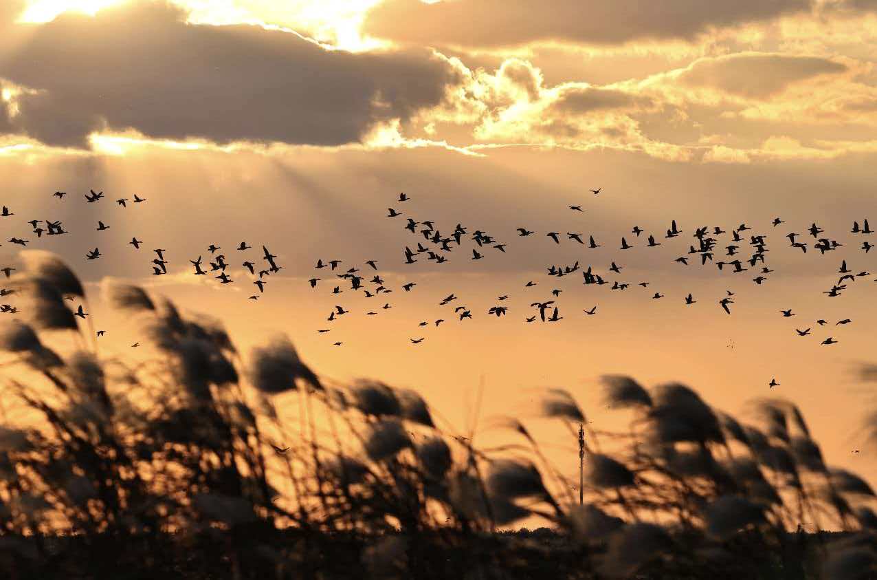 692123ab22b2d.jpg 692123ab22b2d.jpg