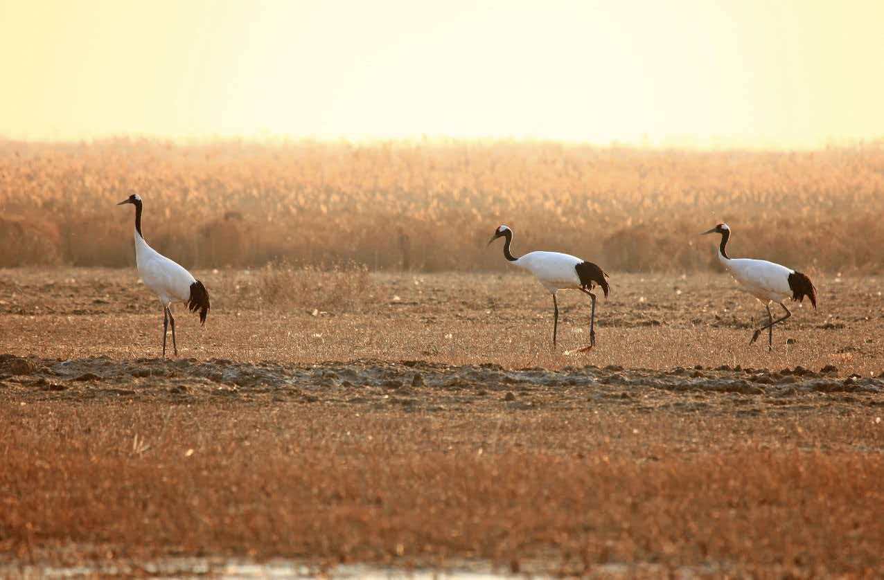 6921242a08f70.jpg 6921242a08f70.jpg