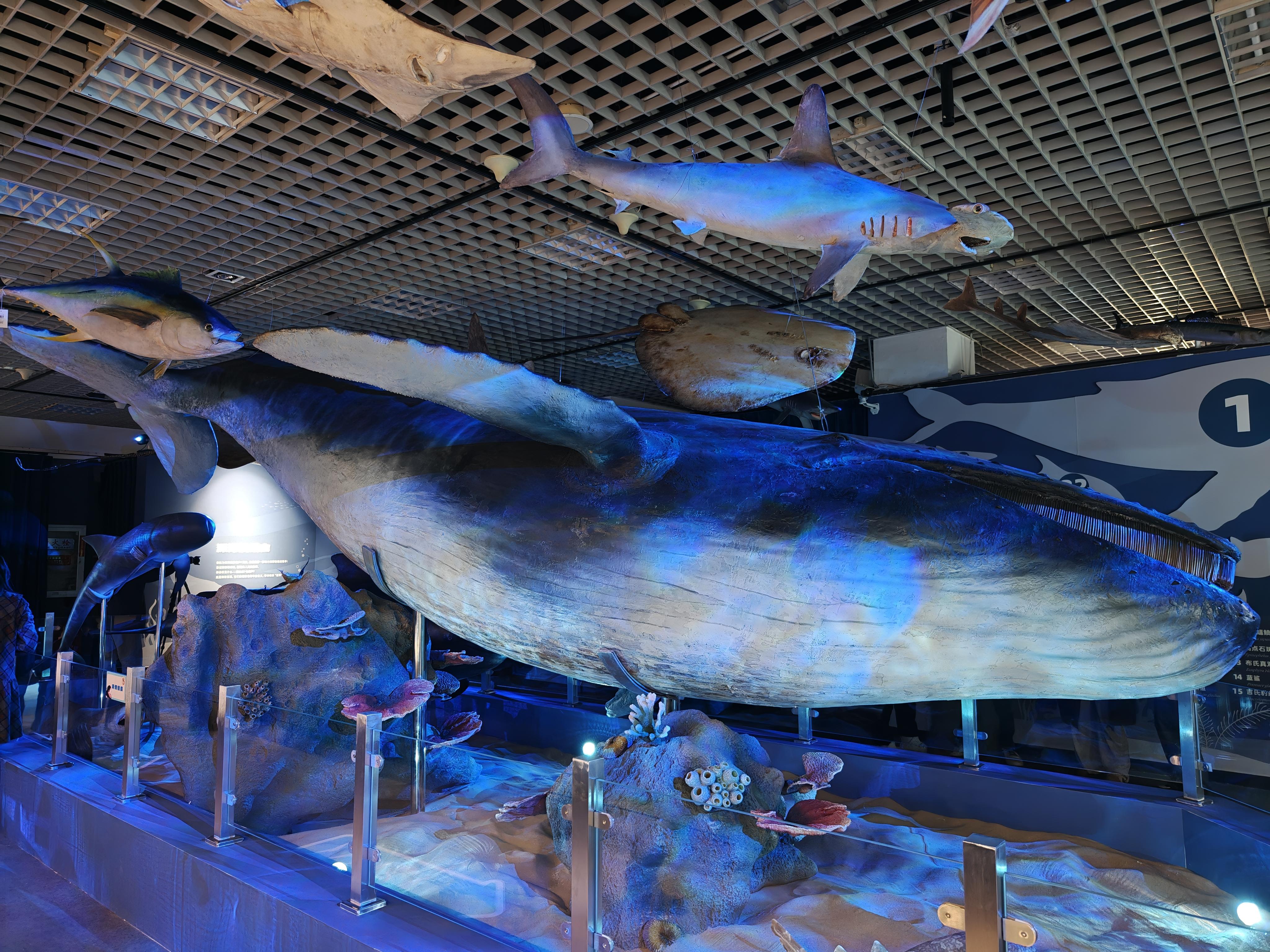 692a28670e19f.jpg 692a28670e19f.jpg