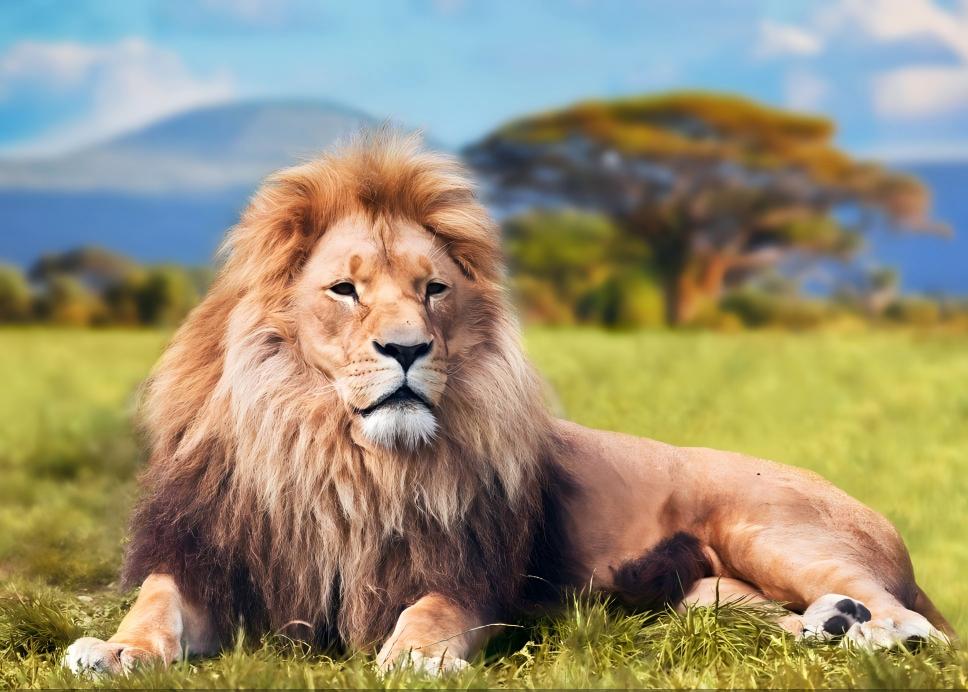 693689eb117d3.jpg 693689eb117d3.jpg