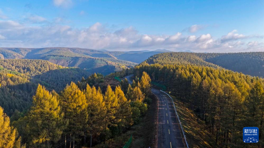 6937f3eeed0a7.png 6937f3eeed0a7.png