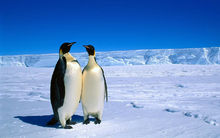 6937f80a6dfb5.jpg 6937f80a6dfb5.jpg