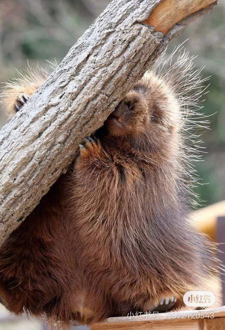 6939664c4aa7d.jpg 6939664c4aa7d.jpg