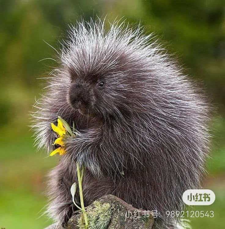 693966610c5e4.jpg 693966610c5e4.jpg