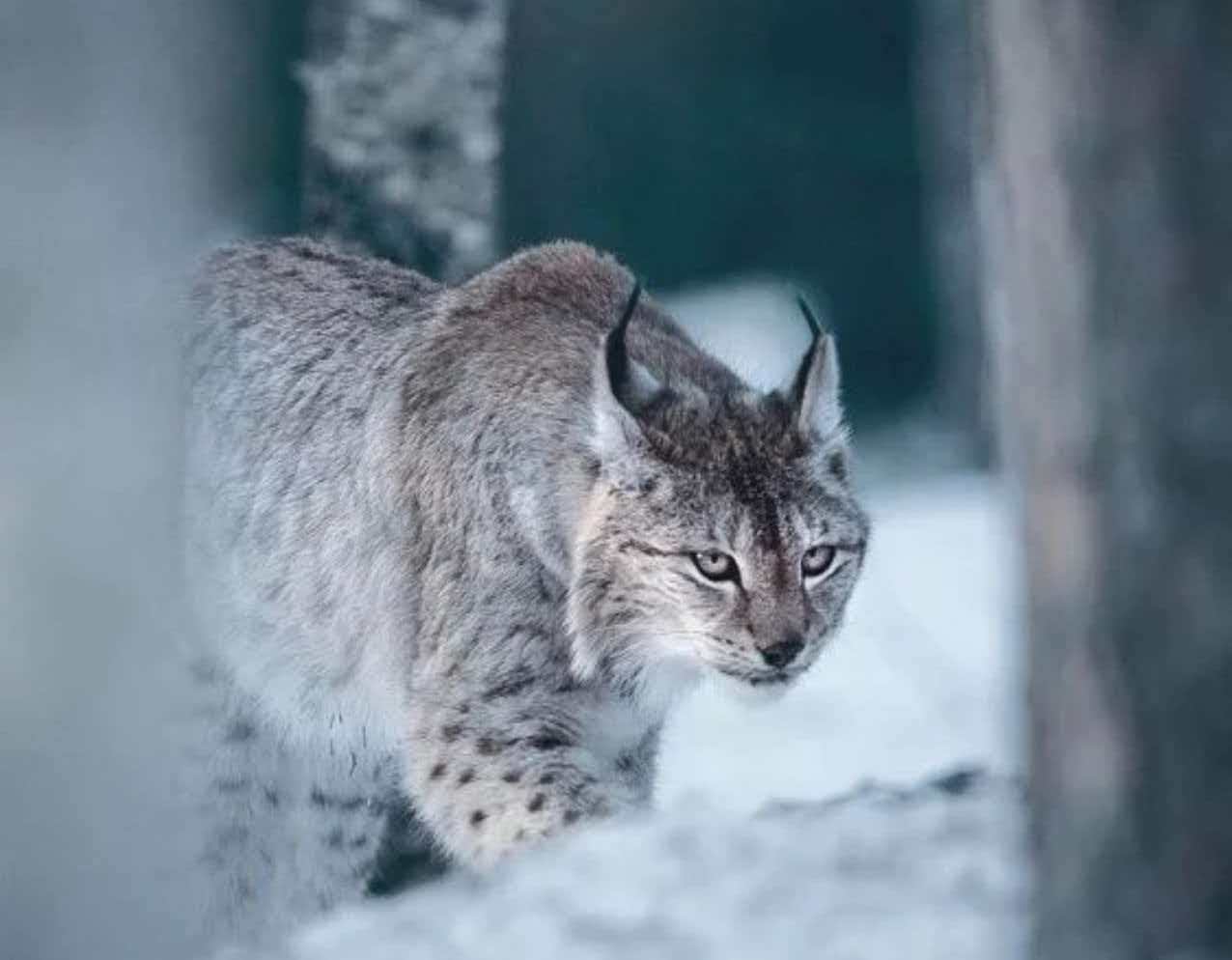 693968632c9ca.jpg 693968632c9ca.jpg