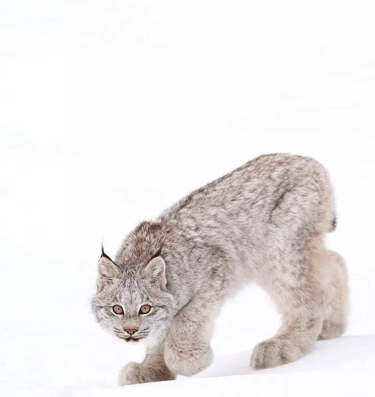 69396889e6fb9.jpg 69396889e6fb9.jpg