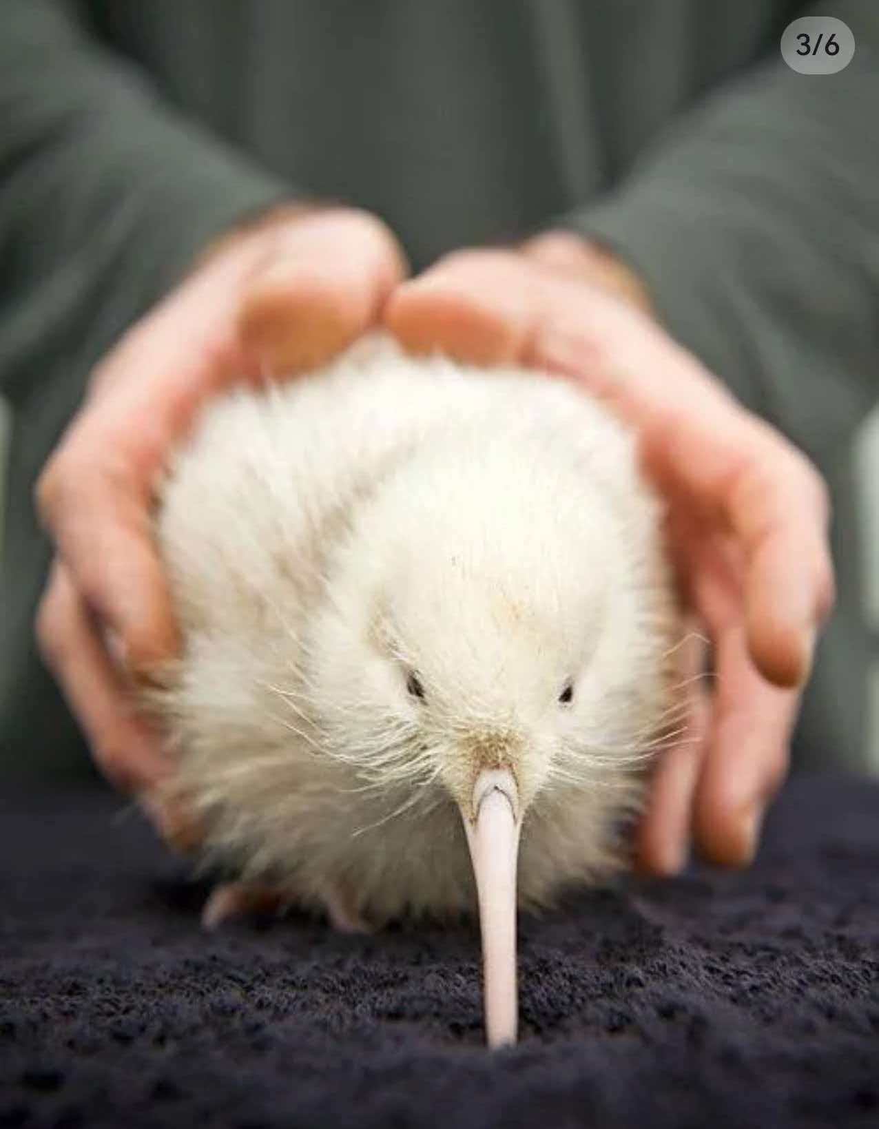 693aa49117eba.jpg 693aa49117eba.jpg