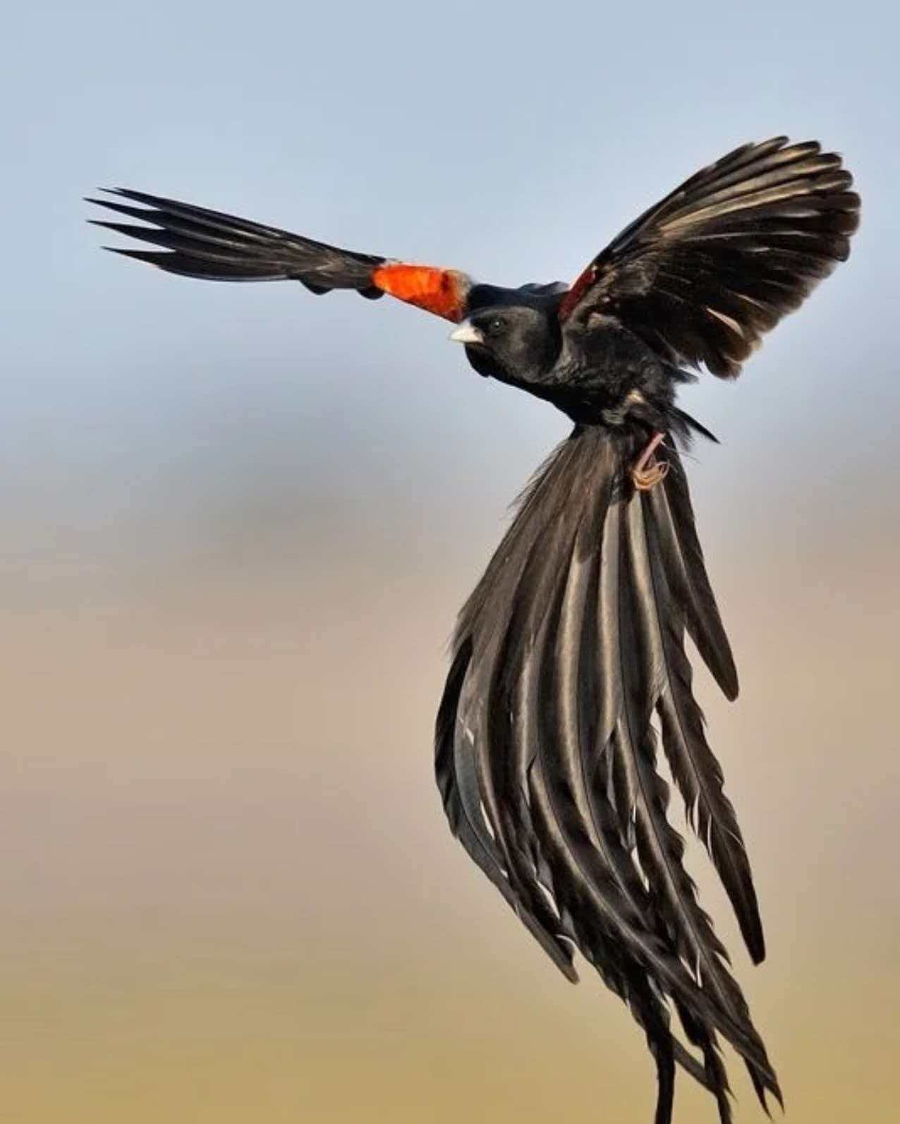 693aa6143521d.jpg 693aa6143521d.jpg