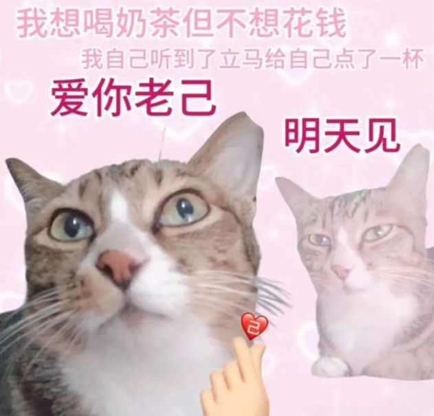 6944b4ed74ec2.png 6944b4ed74ec2.png