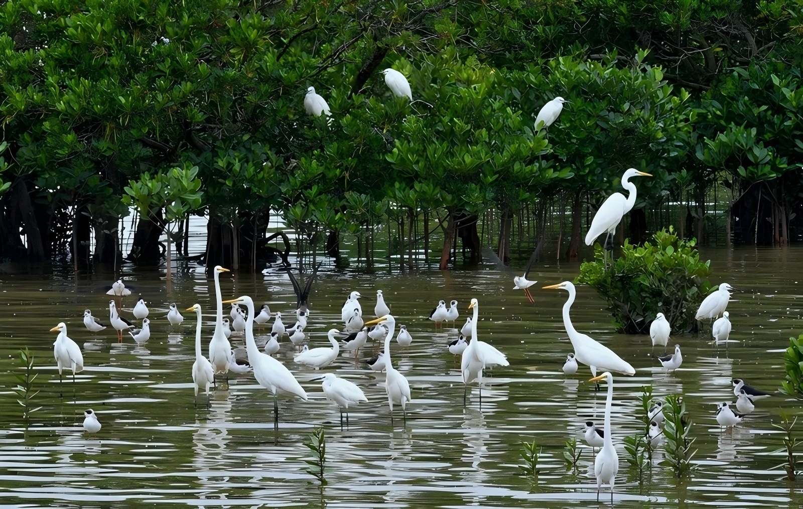 694b5dccb9c56.jpg 694b5dccb9c56.jpg