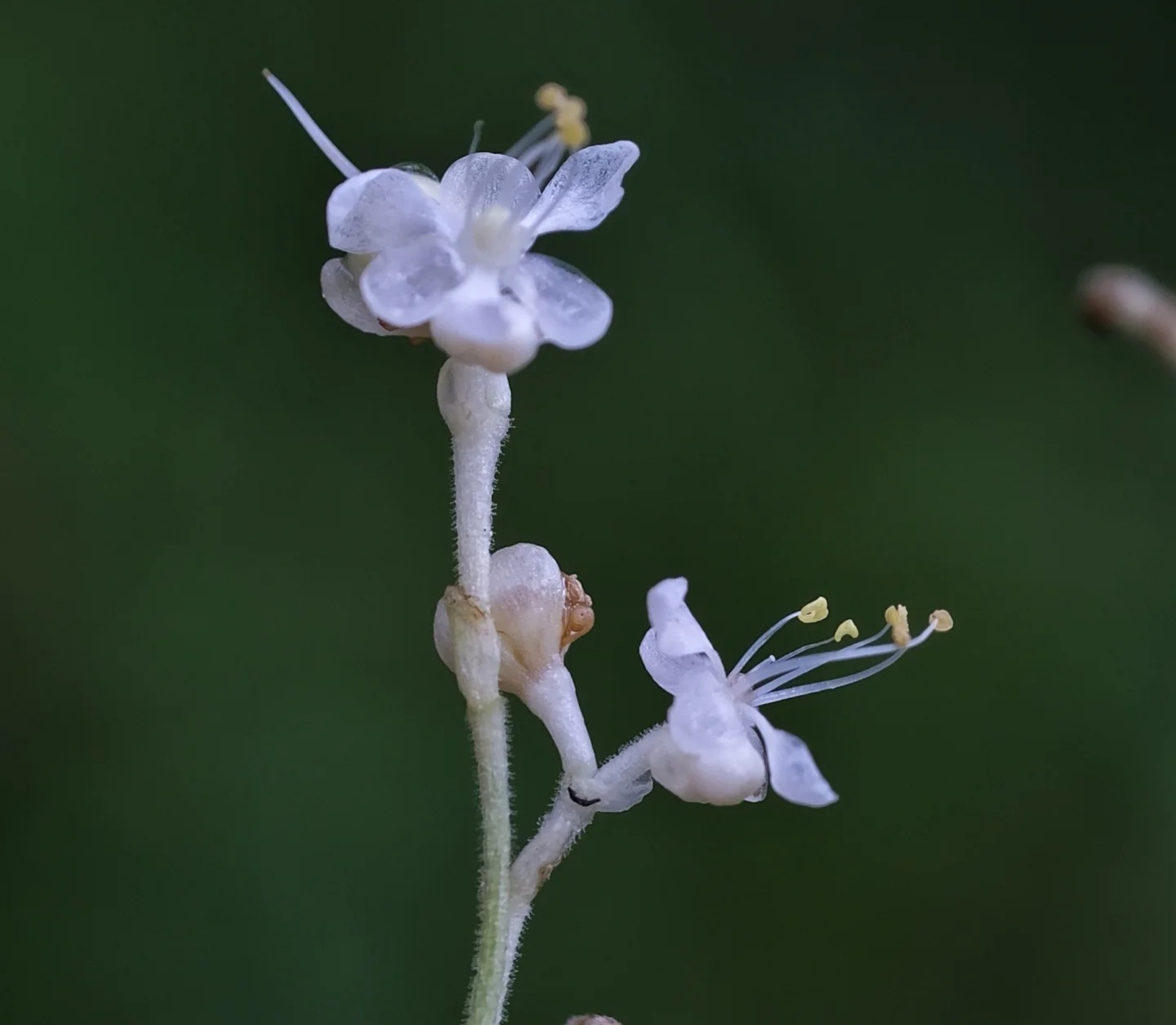 694df0a1b2747.jpg 694df0a1b2747.jpg