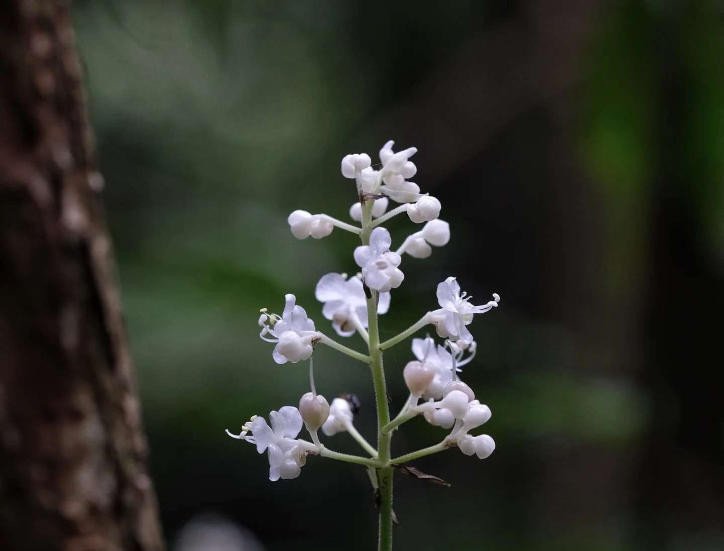 694df0d183cd4.jpg 694df0d183cd4.jpg