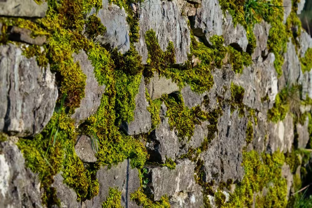 6965072fc8fc0.jpg 6965072fc8fc0.jpg