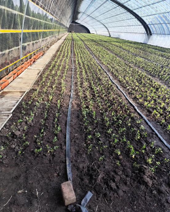 699d84e50a660.png 699d84e50a660.png