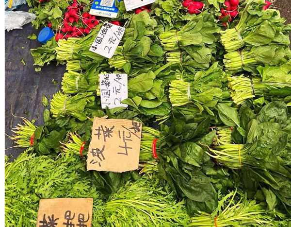 699e731ec331f.png 699e731ec331f.png