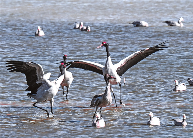 法护绿水青山 绘就美丽中国新画卷 法护绿水青山 绘就美丽中国新画卷